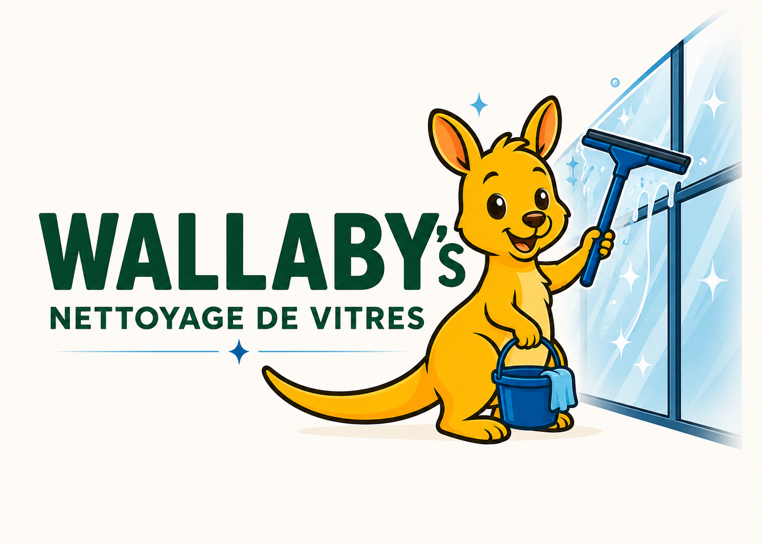 Nettoyage de vitres et vitrines